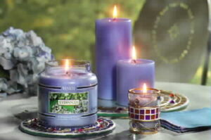 Read more about the article Using Aromatherapy In Real Estate