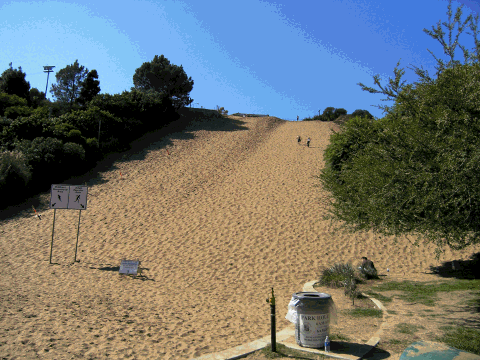 You are currently viewing One of my favorite places in Manhattan Beach: Sand Dune Park